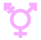 trans porn video