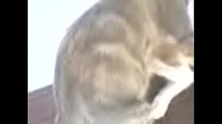 Step Bro And Sister Sex