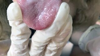 Blowjob-sex og sperm i munden fra min varme trinsøster i latexhandsker