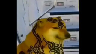 Latina Le Da Una Mamada A Su Hermanastro